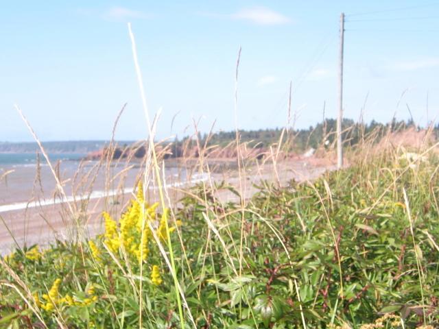 Moore'S Specialties Fundy Bay House Rental Gardner Creek Bagian luar foto