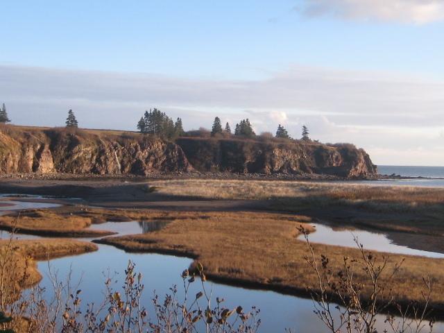 Moore'S Specialties Fundy Bay House Rental Gardner Creek Bagian luar foto