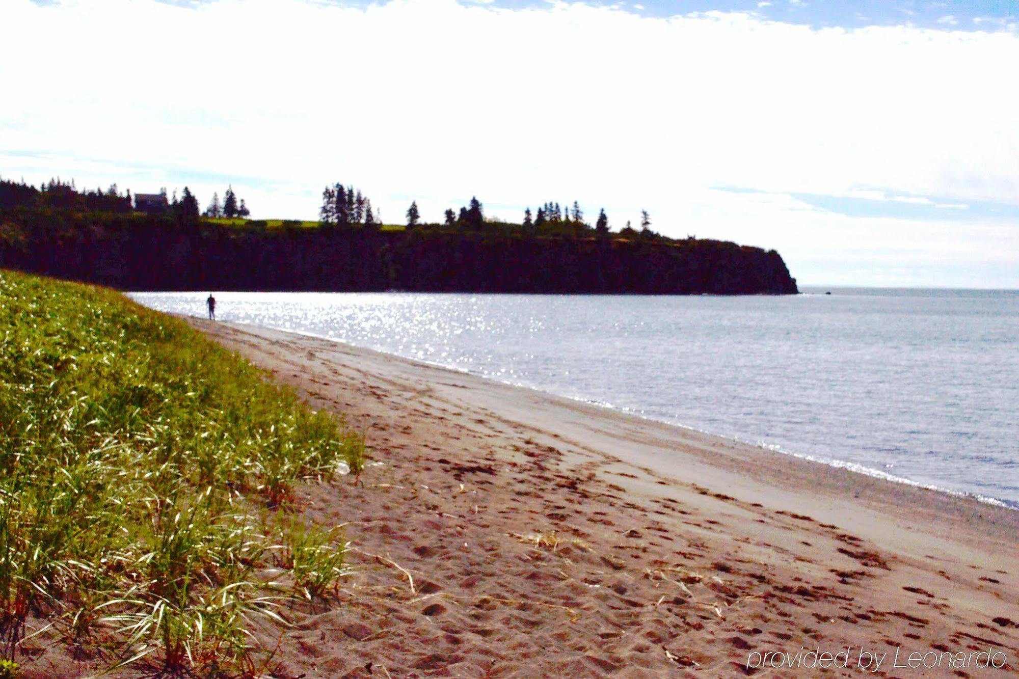 Moore'S Specialties Fundy Bay House Rental Gardner Creek Bagian luar foto