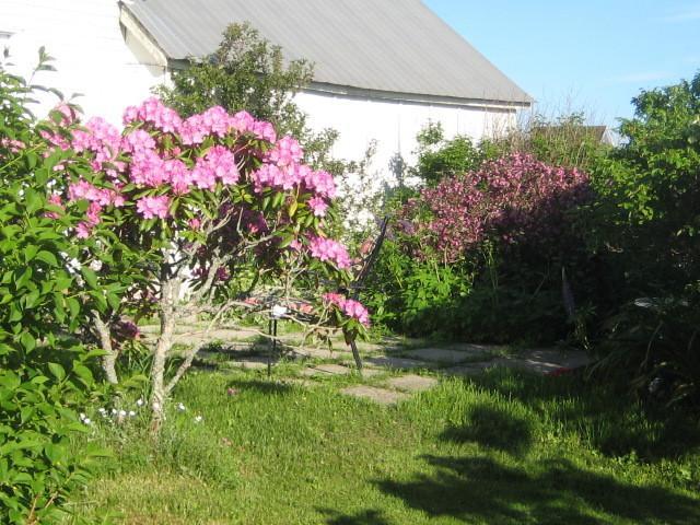 Moore'S Specialties Fundy Bay House Rental Gardner Creek Bagian luar foto