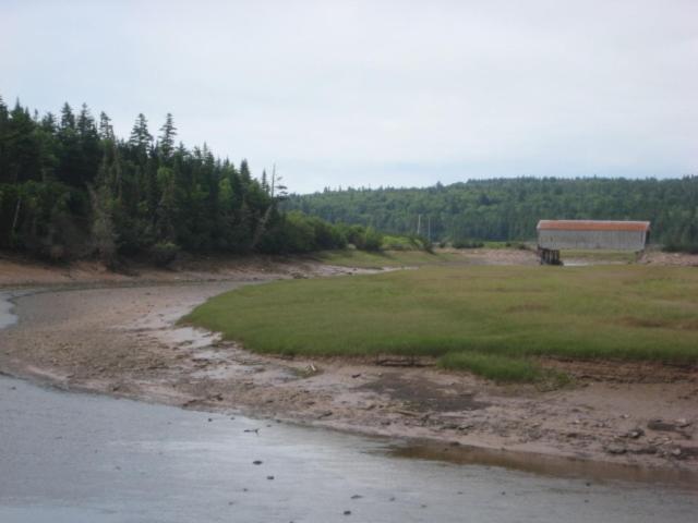 Moore'S Specialties Fundy Bay House Rental Gardner Creek Bagian luar foto